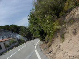 P6190085