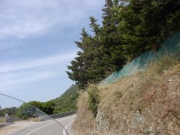 P6190089