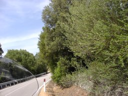 P6190094