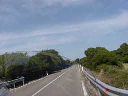 P6190101