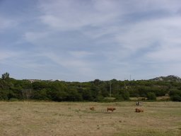 P6190106