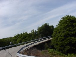 P6190111