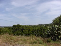 P6190112