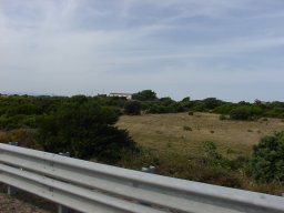 P6190117