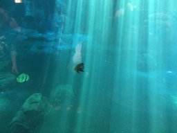 img_1145