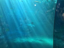img_1146