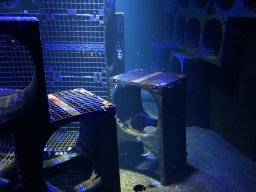 img_1149