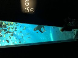 img_1159