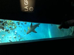 img_1160
