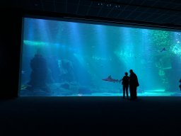img_1164