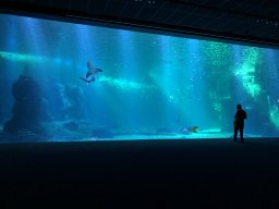 img_1168