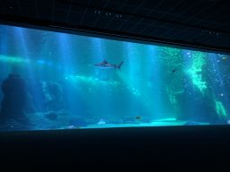 img_1169