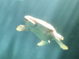 img_1208