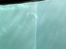 img_1209