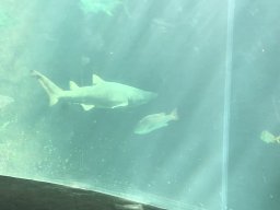 img_1210
