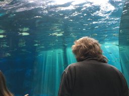 img_3373