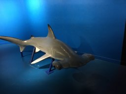 img_3380