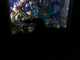 img_3385