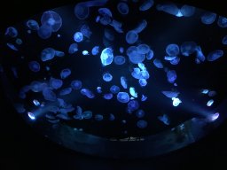 img_3386