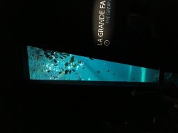 img_3387