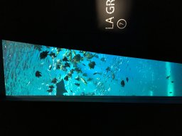 img_3391