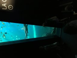 img_3392
