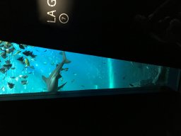 img_3393