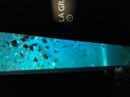 img_3394