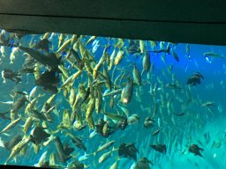 img_3395