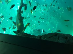 img_3397