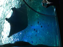 img_3399