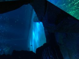 img_3401