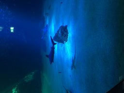 img_3402