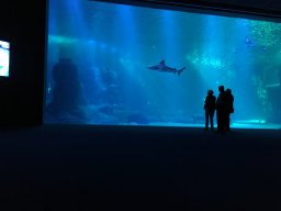 img_3404