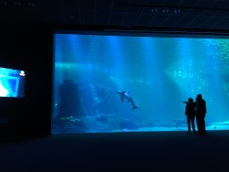 img_3406