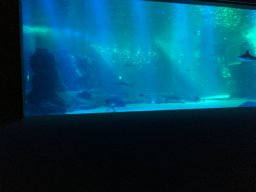 img_3408