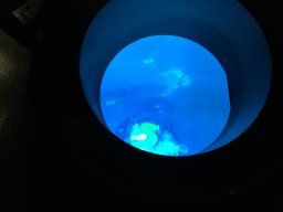 img_3409