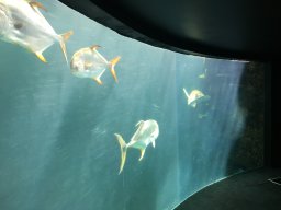 img_3511