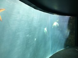 img_3512