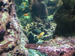 img_3520
