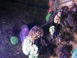 img_3524