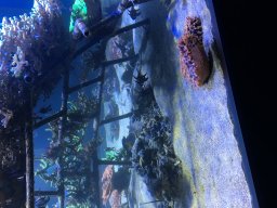 img_3526
