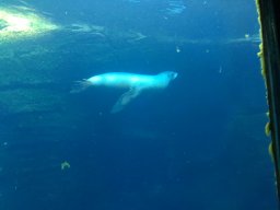 img_3529