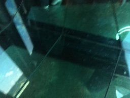 img_3530