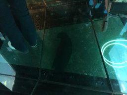 img_3531