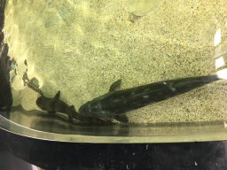 img_3536