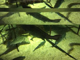 img_3538