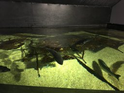 img_3539