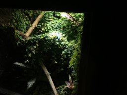 img_3543