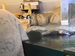 img_3555